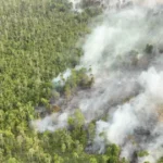 Dinkes Kalbar: Asap Karhutla Ganggu Kualitas Udara Tetangga