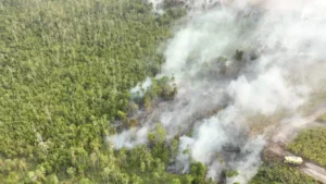 Dinkes Kalbar: Asap Karhutla Ganggu Kualitas Udara Tetangga