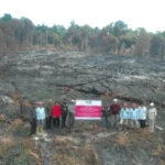 Kemenhut jatuhkan sanksi ke 6 perusahaan terkait karhutla
