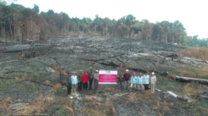 Kemenhut jatuhkan sanksi ke 6 perusahaan terkait karhutla
