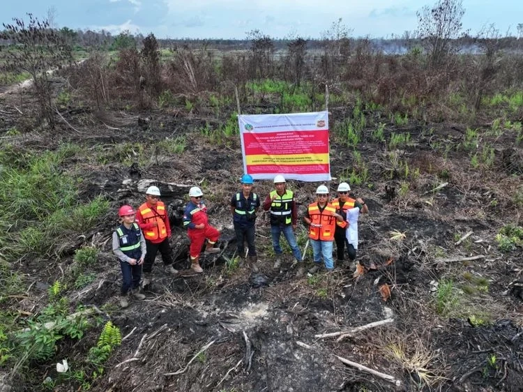 Kemenhut Ungkap Dugaan Jual Beli Lahan di Kawasan Hutan 1 Kemenhut Ungkap Dugaan Jual Beli Lahan di Kawasan Hutan