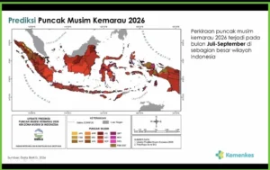 Kemenkes sebut asap karhutla tambah risiko ISPA dan stroke