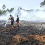 Menteri Kehutanan Raja Juli Antoni Tekankan Pentingnya Pendinginan untuk Cegah Kebangkitan Api Kembali