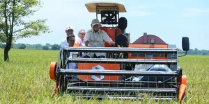 Presiden Prabowo Subianto terkait polemik dugaan Rp2 triliun, tuntutan tata niaga pangan menguat