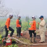 Presiden Prabowo Perintahkan Penindakan Pembakaran Hutan