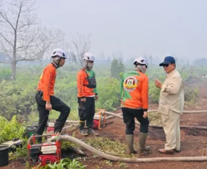 Presiden Prabowo Perintahkan Penindakan Pembakaran Hutan