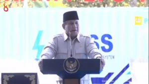 Presiden Prabowo menargetkan PLTS 100 GW dalam 3 tahun