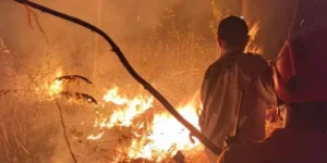 Puan Maharani Serukan Antisipasi Karhutla dan Dampak Pascakebakaran Bagi Masyarakat