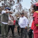 Menteri Kehutanan Raja Antoni Desak Tindakan Cepat Cegah Karhutla dan Lindungi Habitat Orangutan