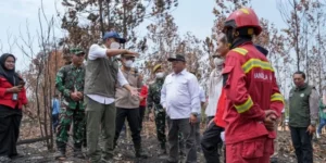 Menteri Kehutanan Raja Antoni Desak Tindakan Cepat Cegah Karhutla dan Lindungi Habitat Orangutan