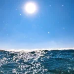Samantha Burgess: Suhu laut global pecah rekor 21,1°C