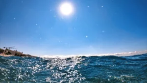 Samantha Burgess: Suhu laut global pecah rekor 21,1°C