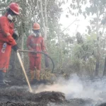 Kemenhut: Titik panas nasional turun 56% dalam sehari